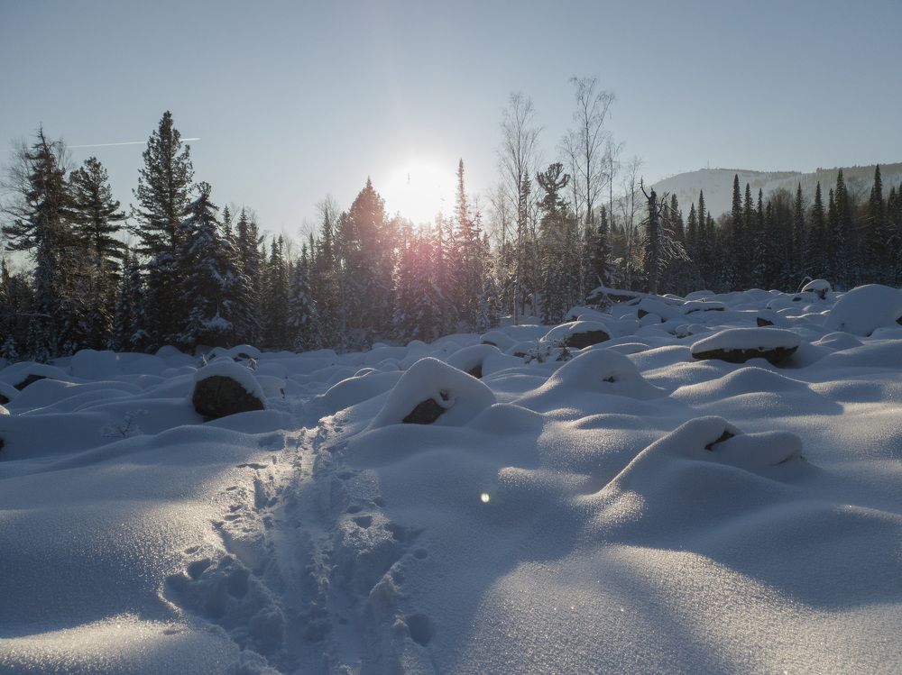 Photograph by Алексей Орнатский