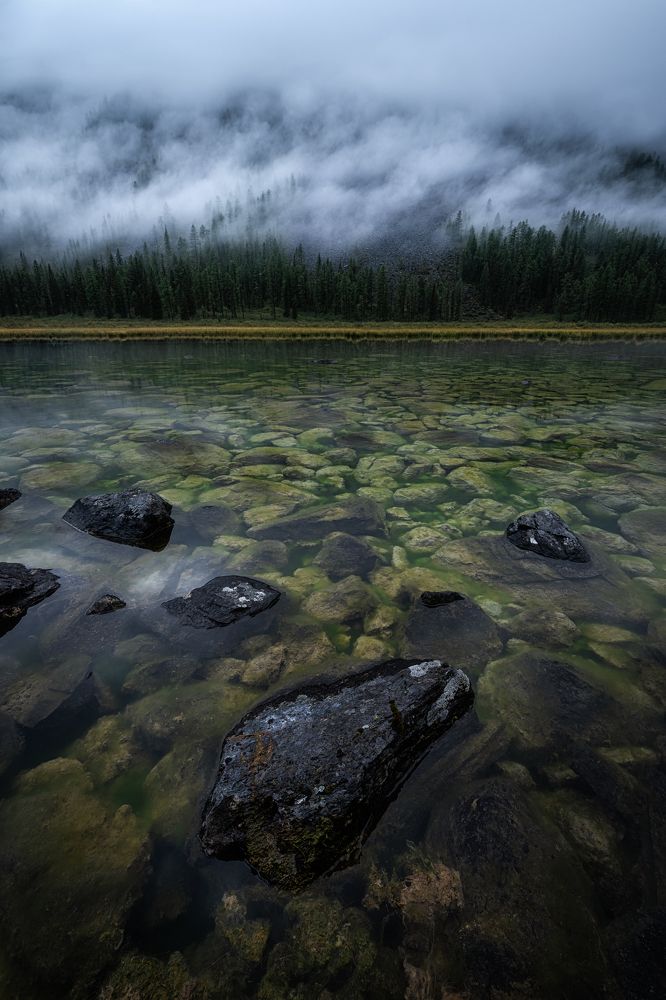 Photograph by Евгений Антонов