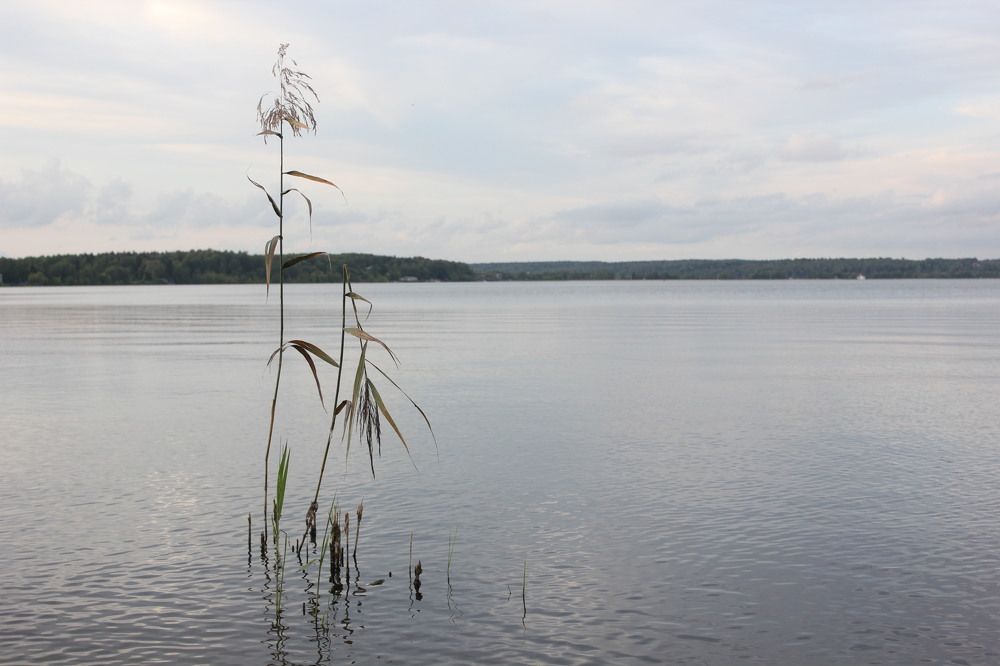 Photograph by Елена Кириллова