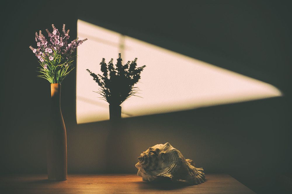 Photograph by Olga Martynska