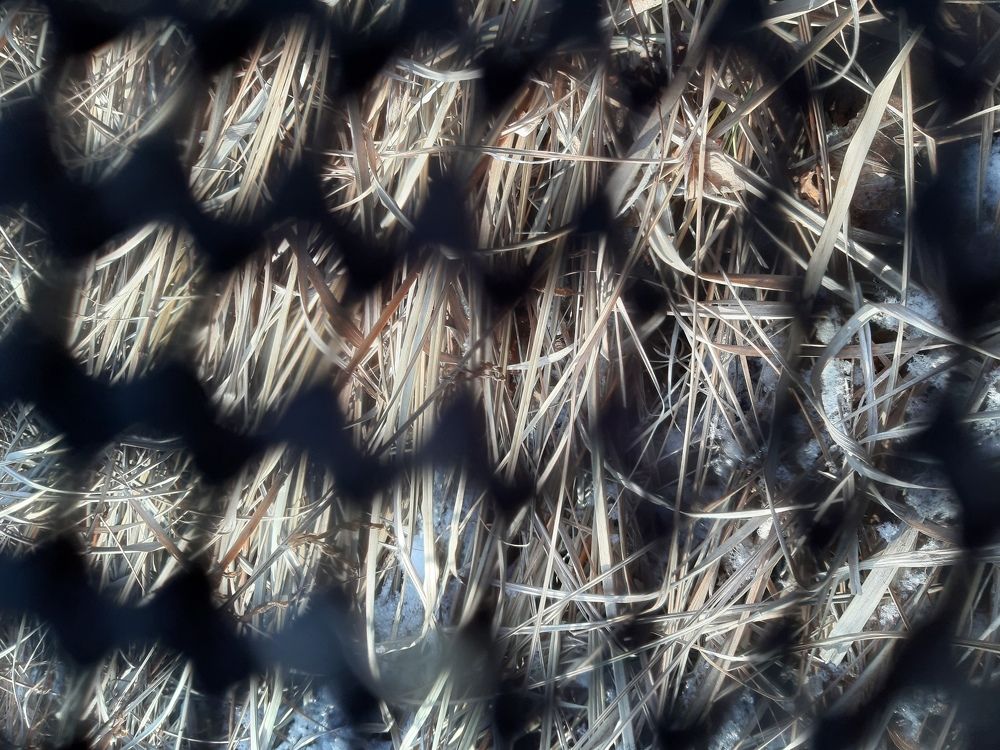 Photograph by Виктория Стецко