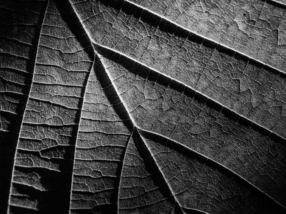 Photograph by Дмитрий Григорьев