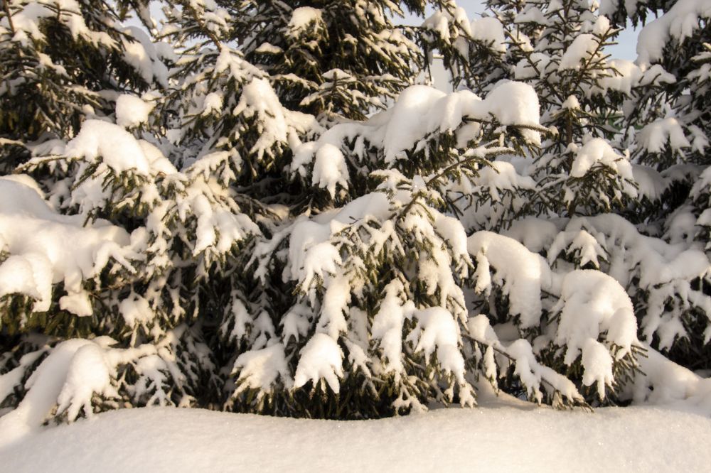 Фотография автора Дмитрий Нефёдов