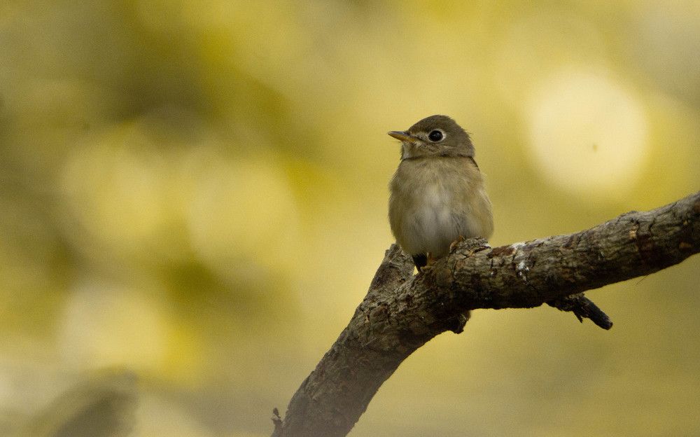 Photograph by Praveen kumar Dhandapani