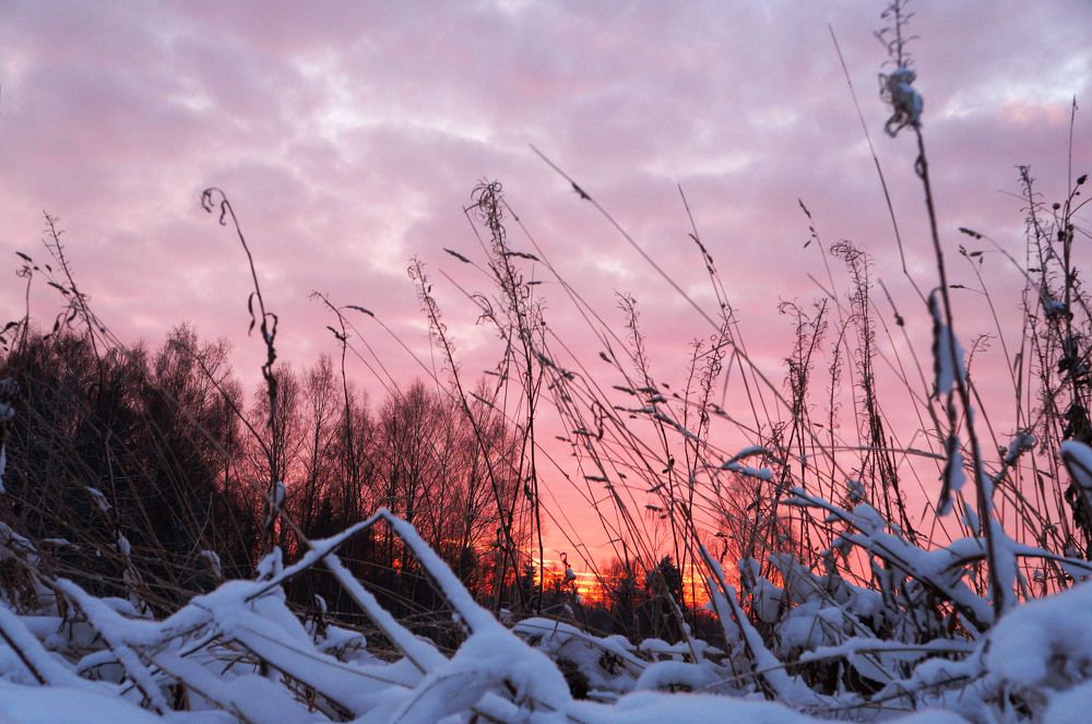 Photograph by Анна Алякина