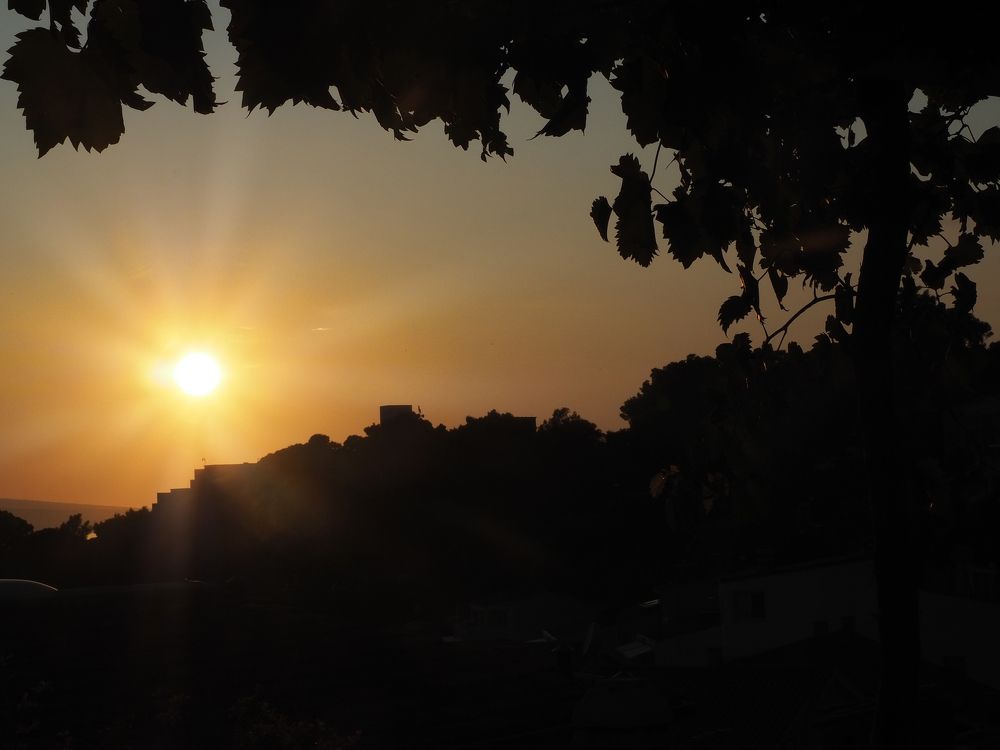 Photograph by Artem Nikiforov