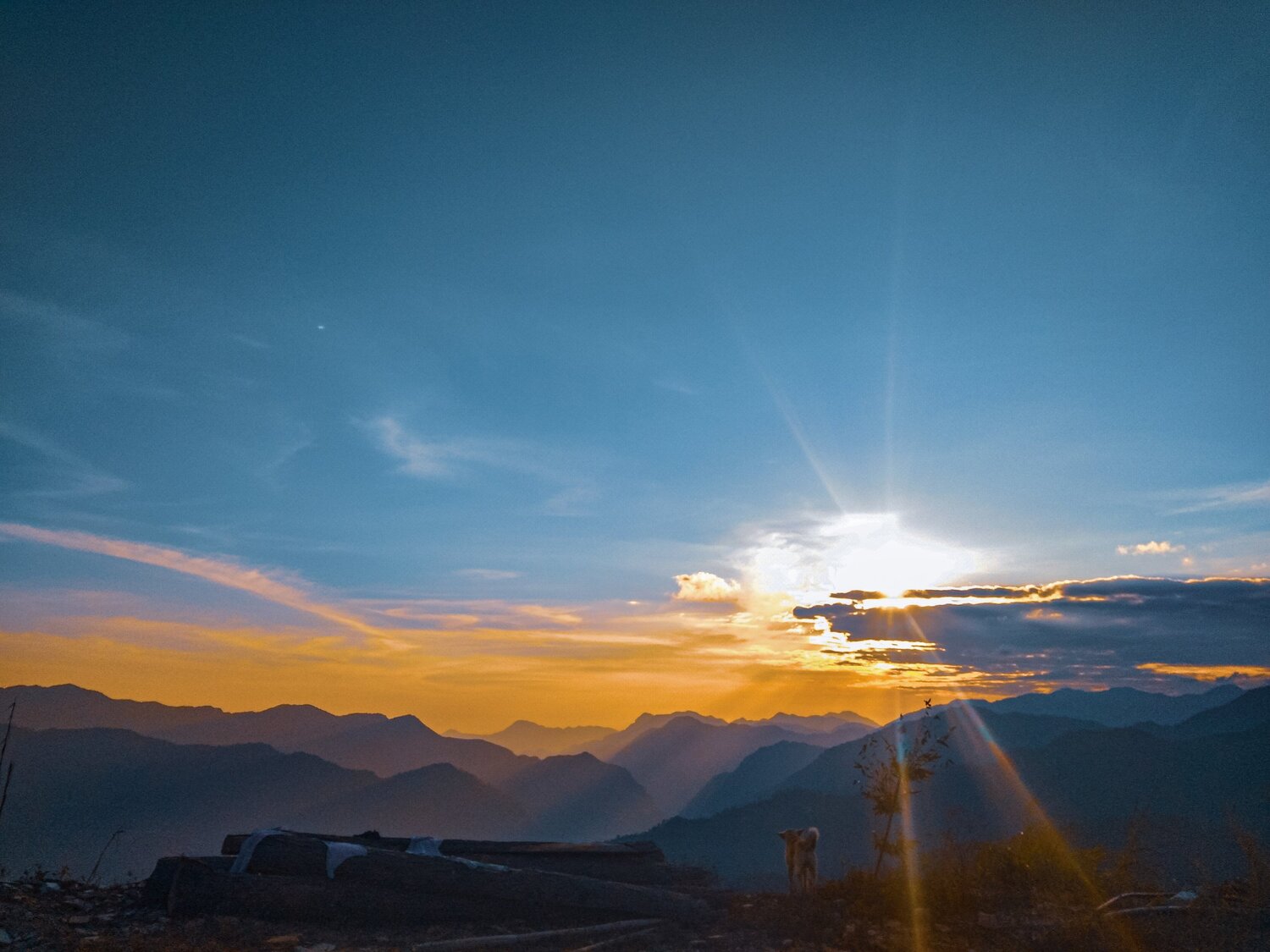 The sunsets