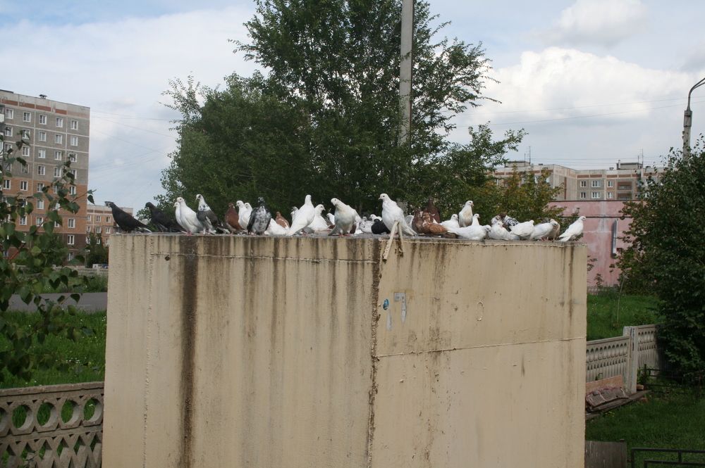 Главные в городе!