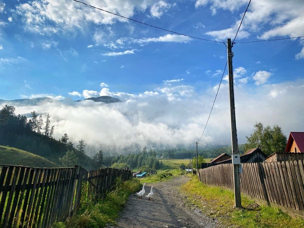 Photograph by Максим Мозжухин