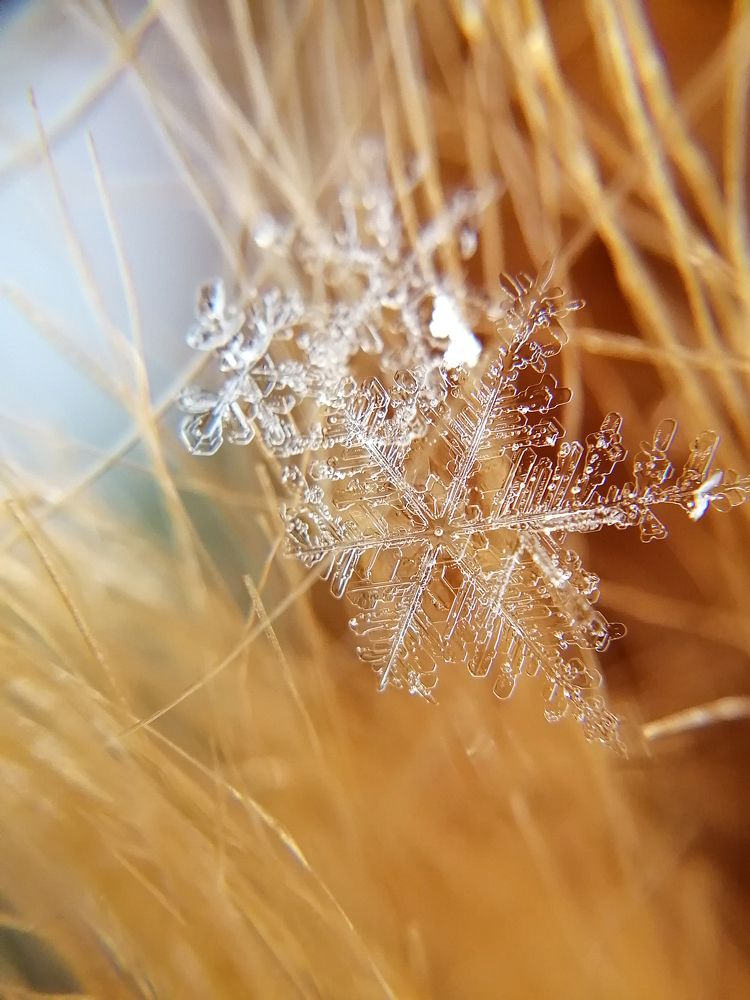 Снежный хрусталь.