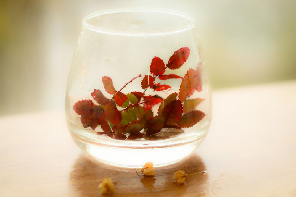 Photograph by Елена Квасова