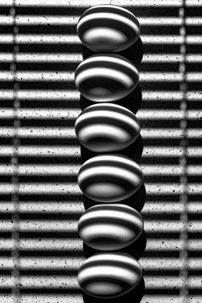 Photograph by Tamar Riabukha