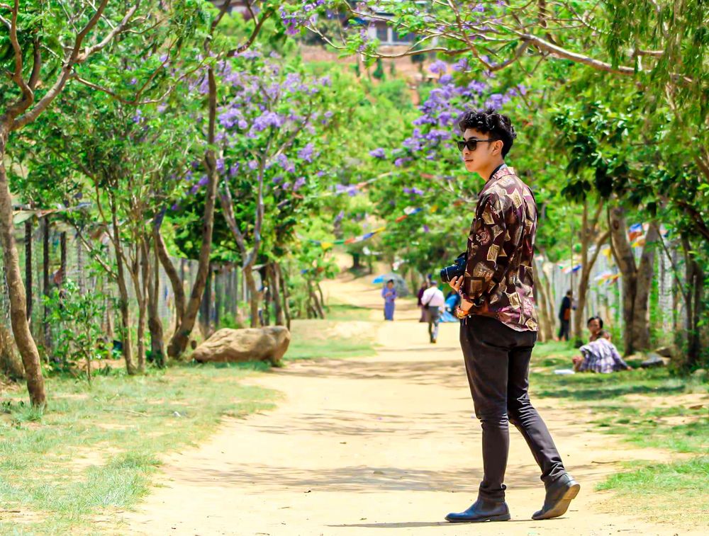 The spring travel