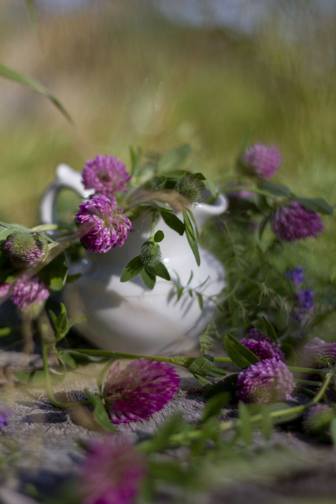 Photograph by Elena Kostochkina