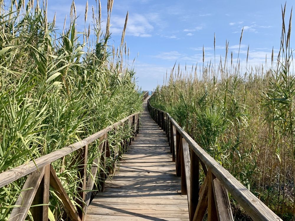 Photograph by Irina Andrienko