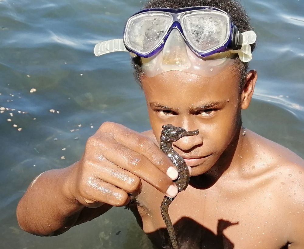 Samson and a seahorse