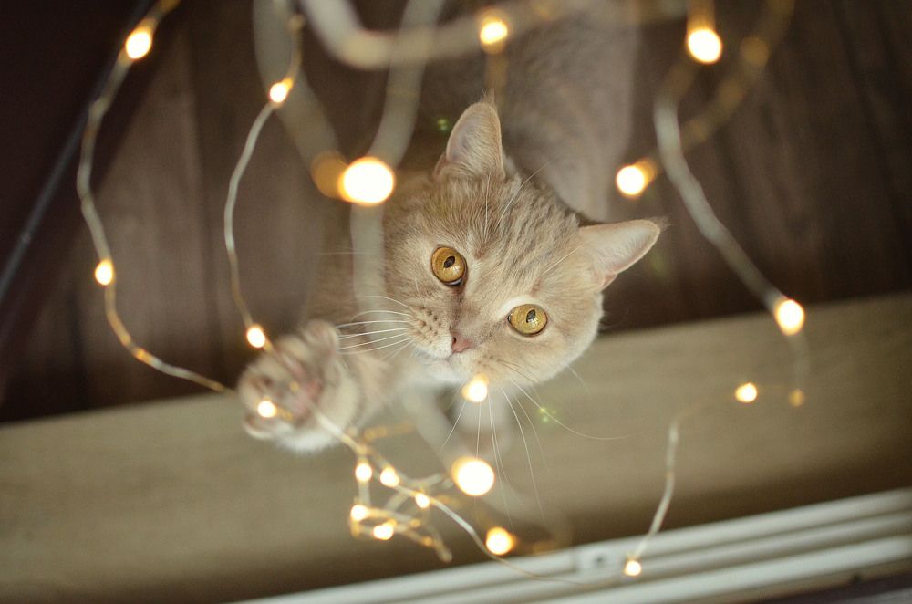 Photograph by Оксана Румянцева