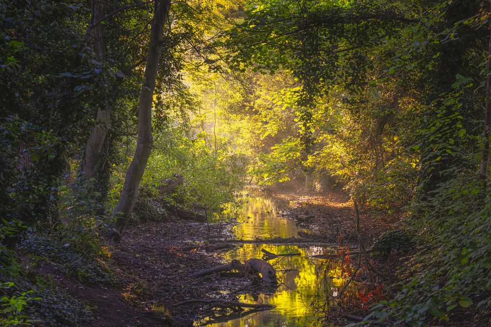 Photograph by Sebastian Rutkowski
