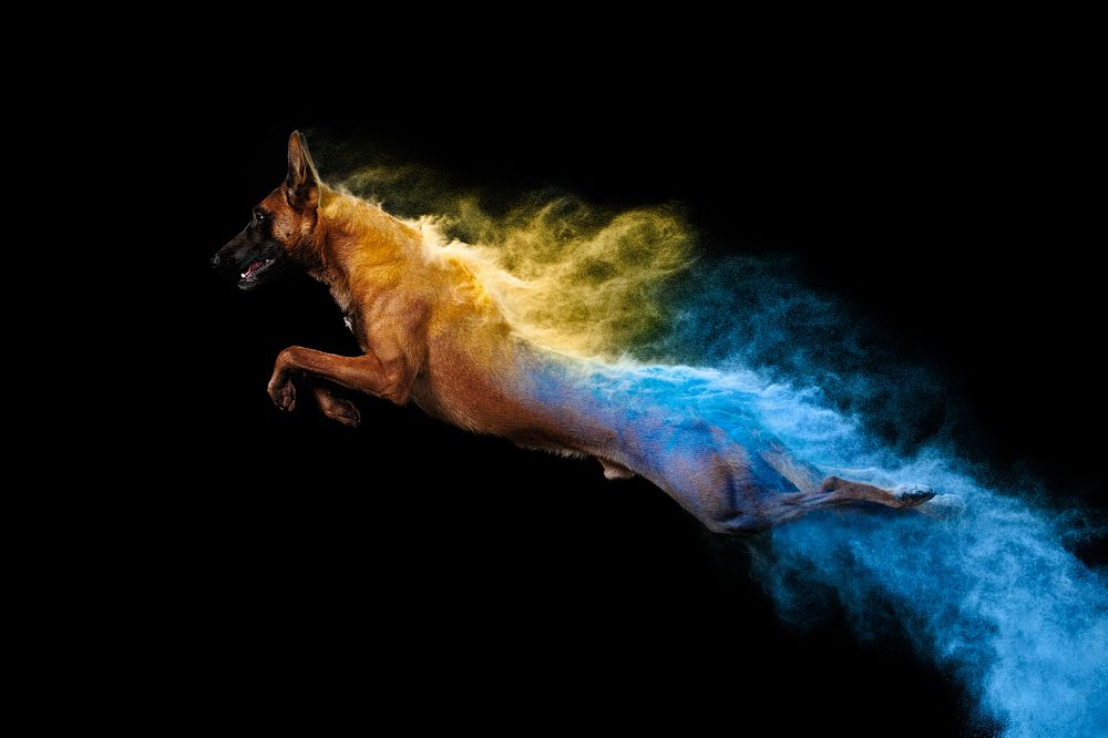 Цветовой взрыв