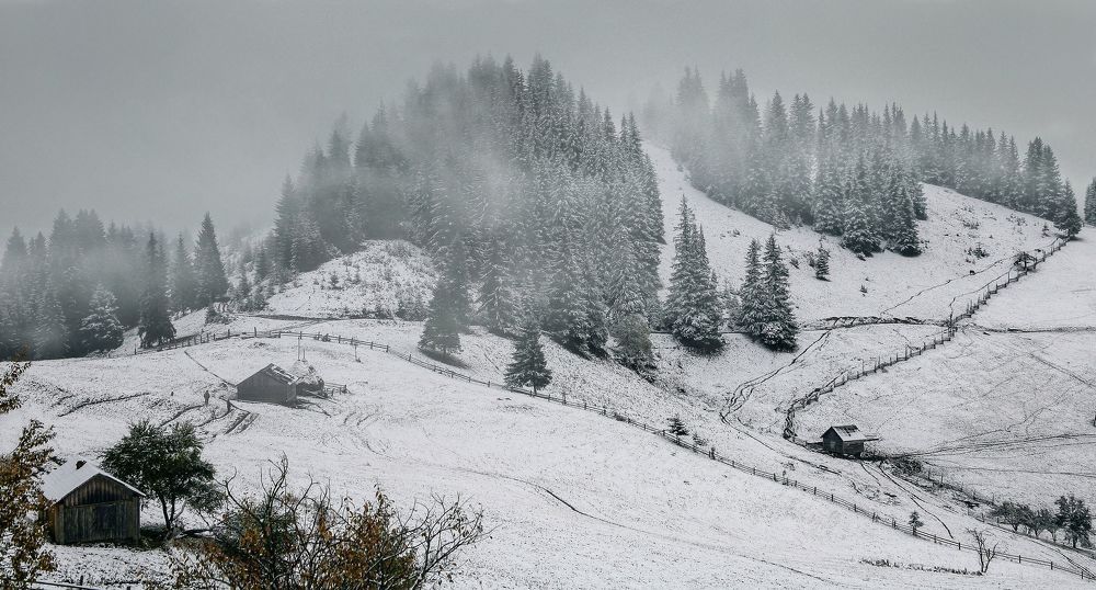 Фотография автора Милокост Алексей