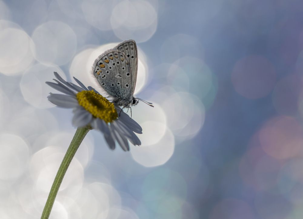 Photograph by ERDEM ARIF YIGIT