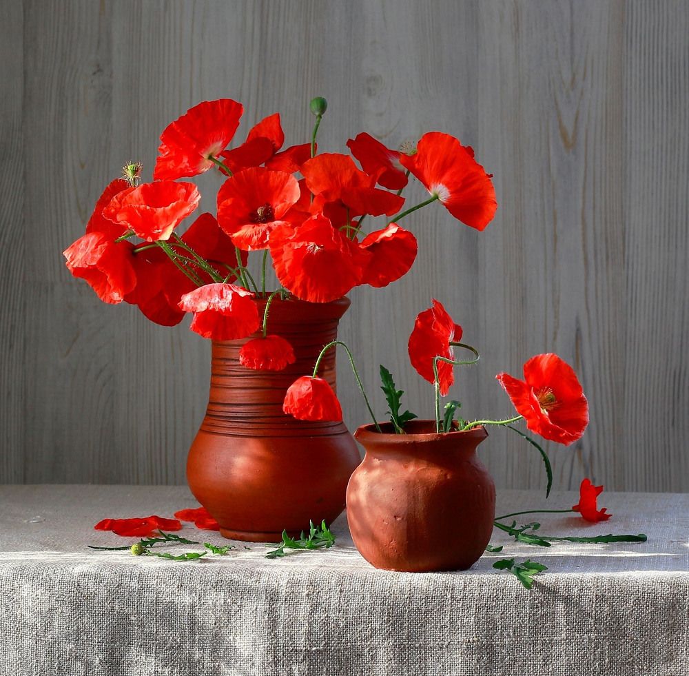 Лето красное, прекрасное