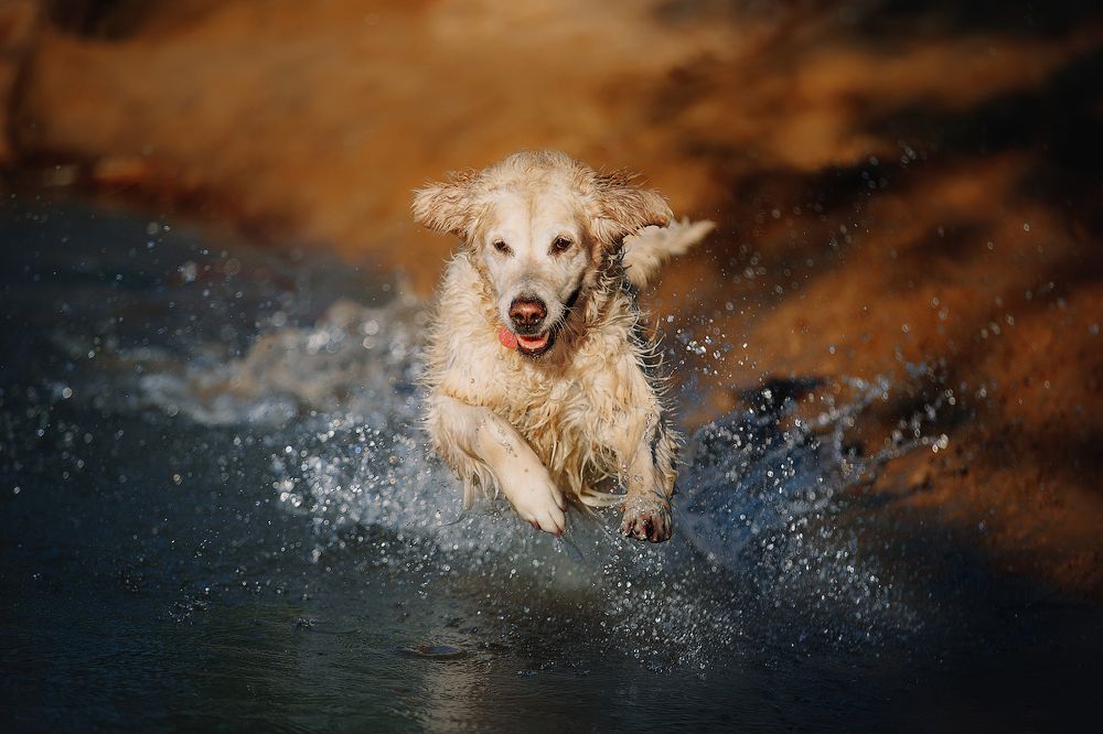 Photograph by Марина Плевако