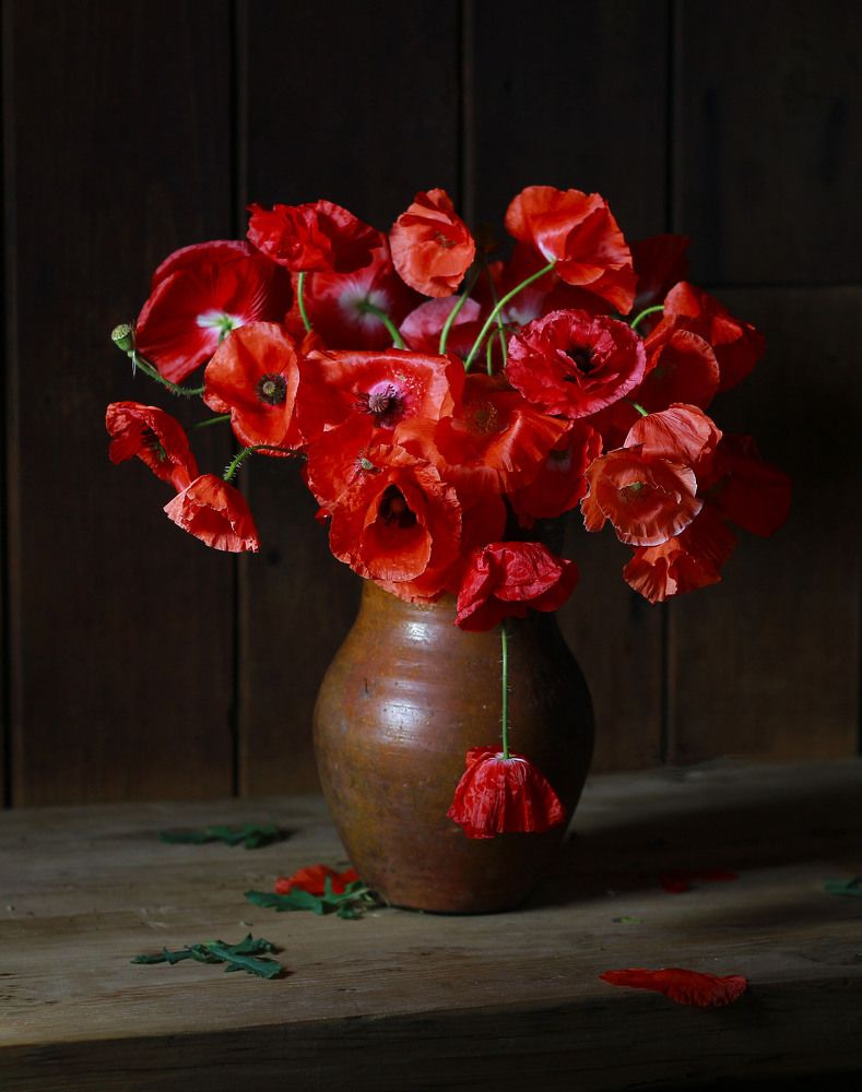 Любимые цветы