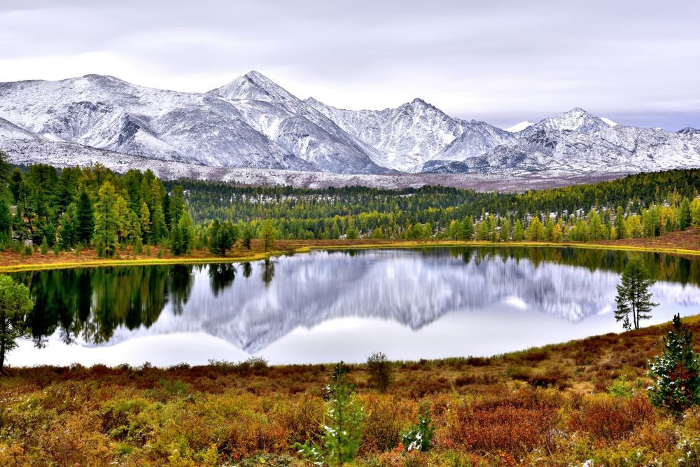 Рассвет Киделю