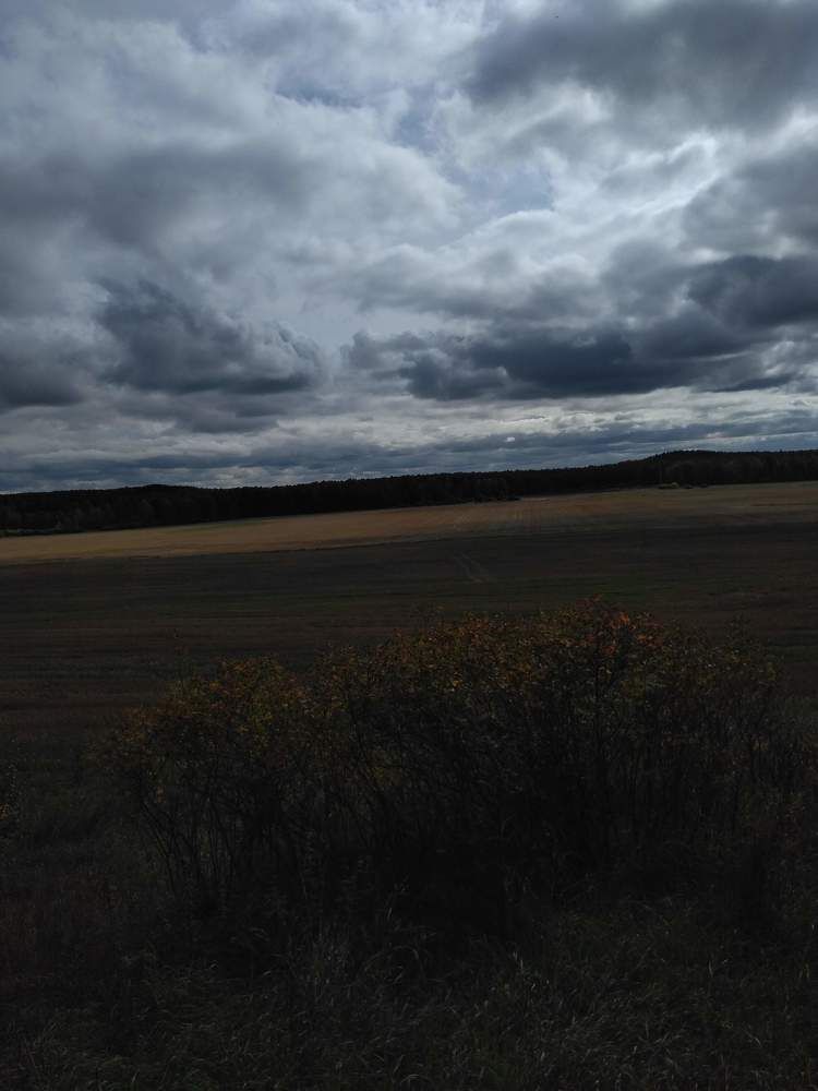 Photo #5705890