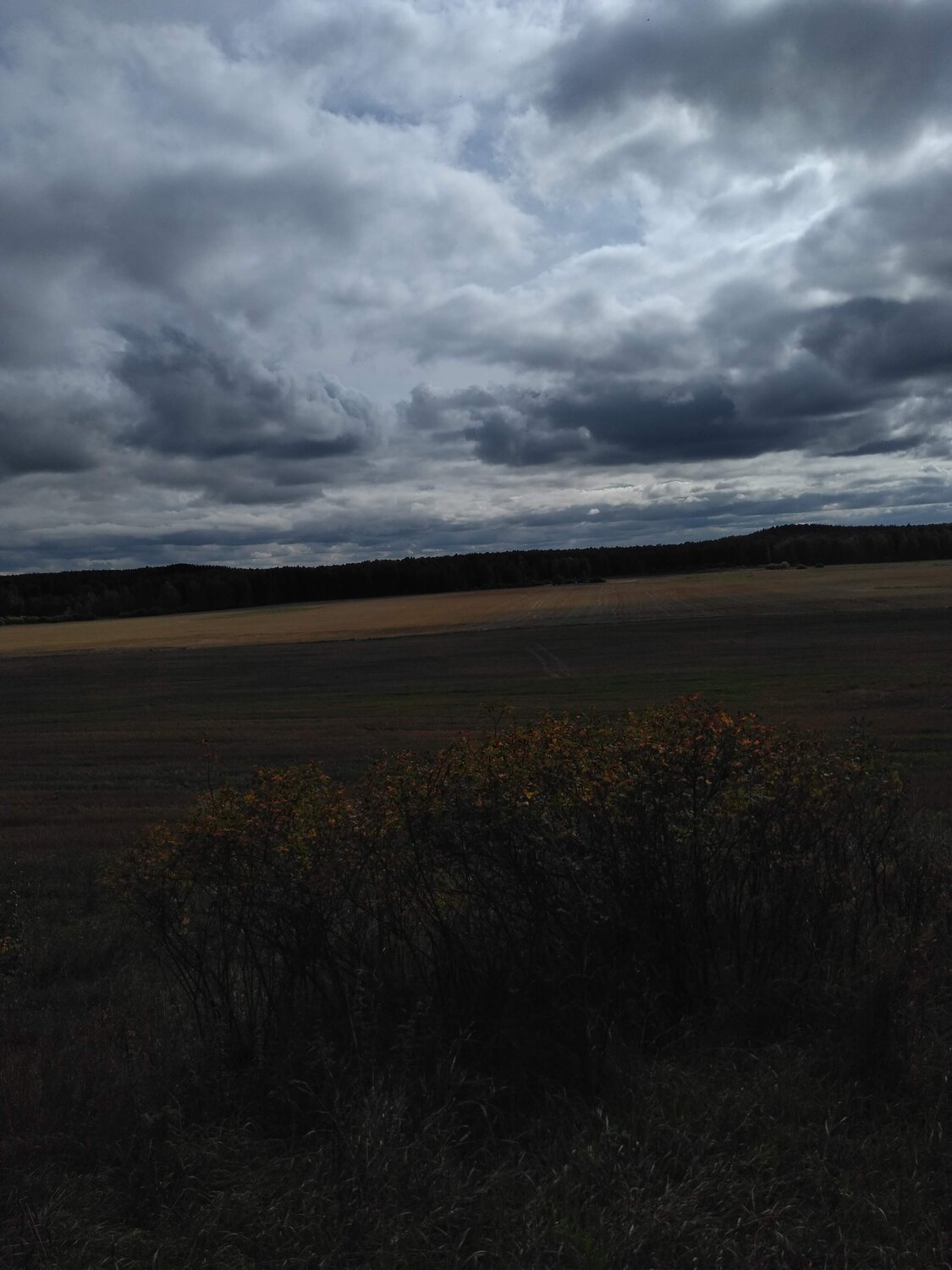 Photo #5705890