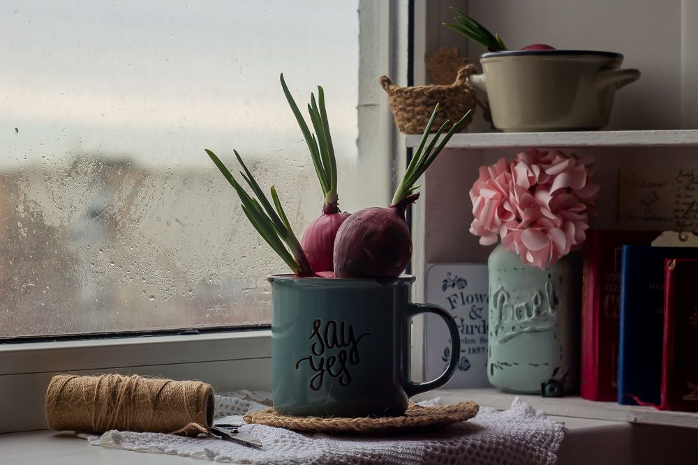 Photograph by Ирина Мищенко