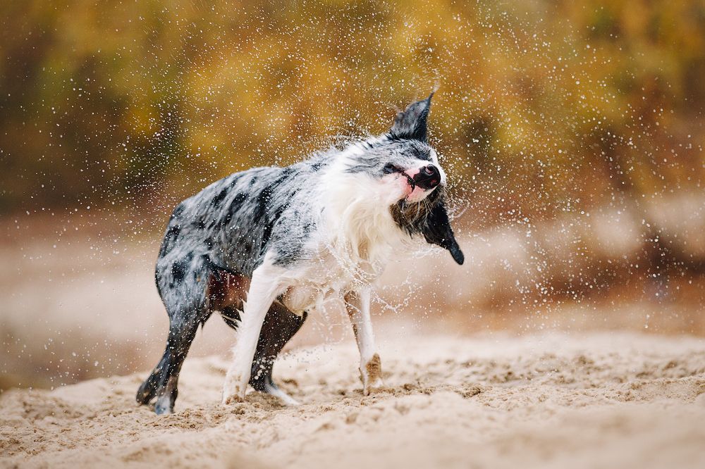 Photograph by Марина Плевако