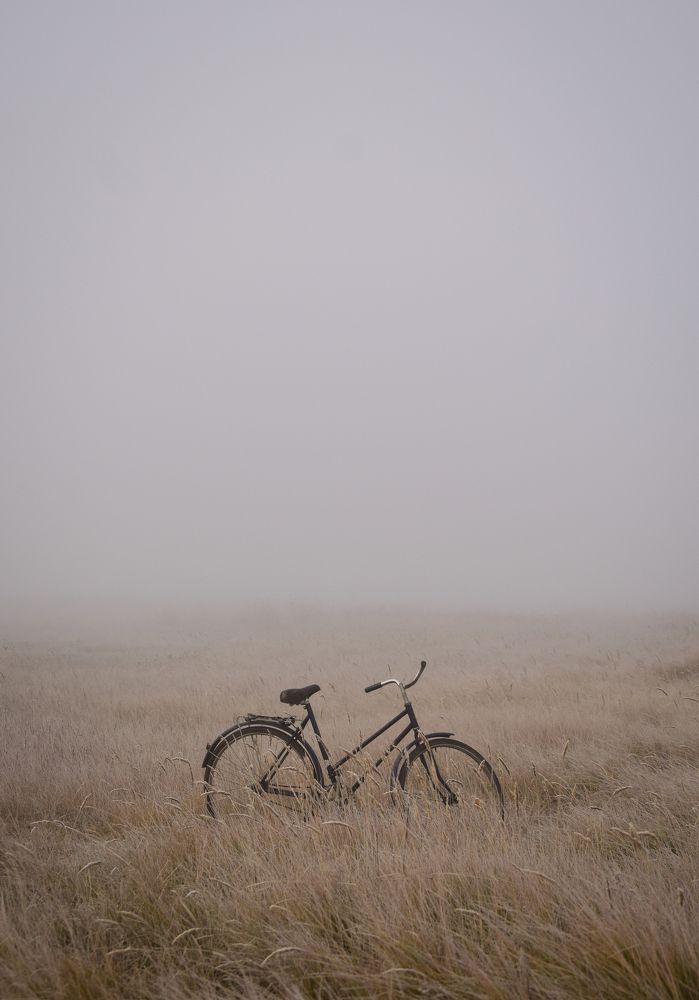 Photograph by Екатерина Шлехт