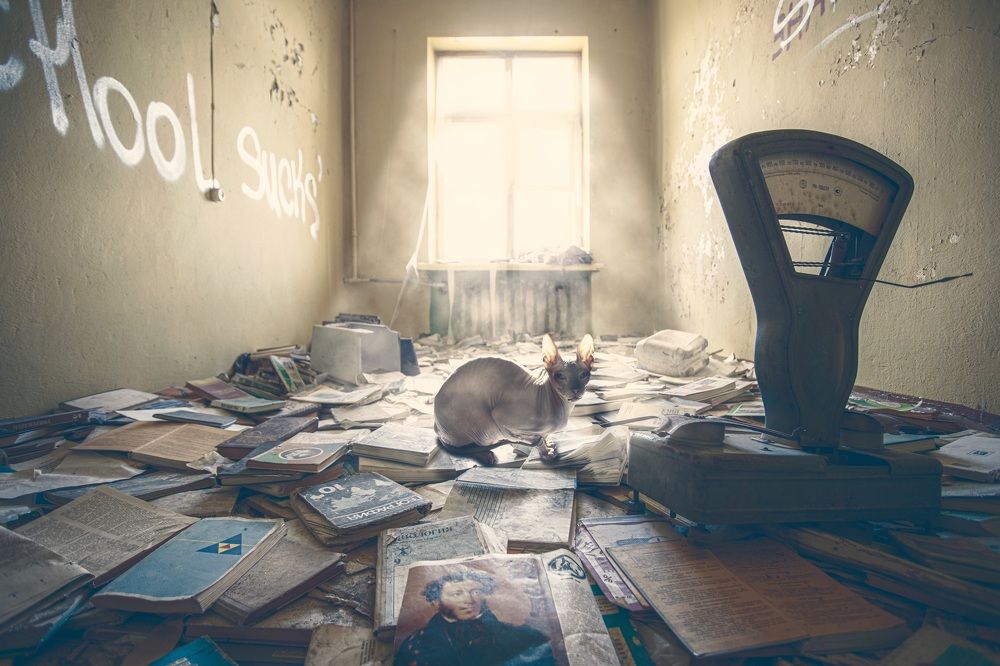 Photograph by Николай Сизиков