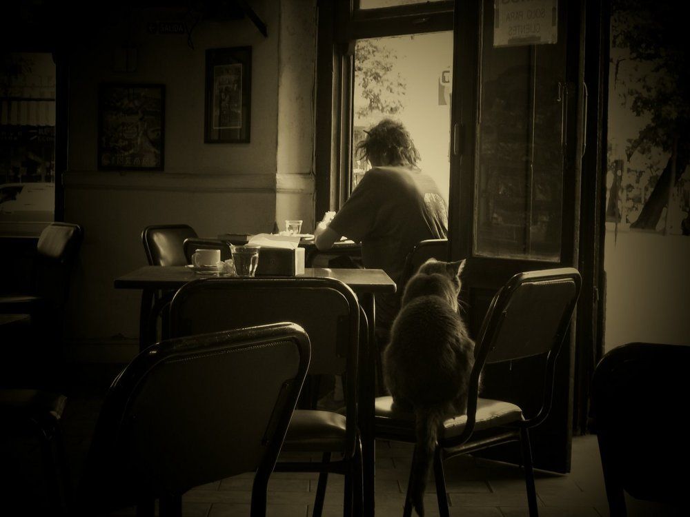Photograph by Alberto Levin