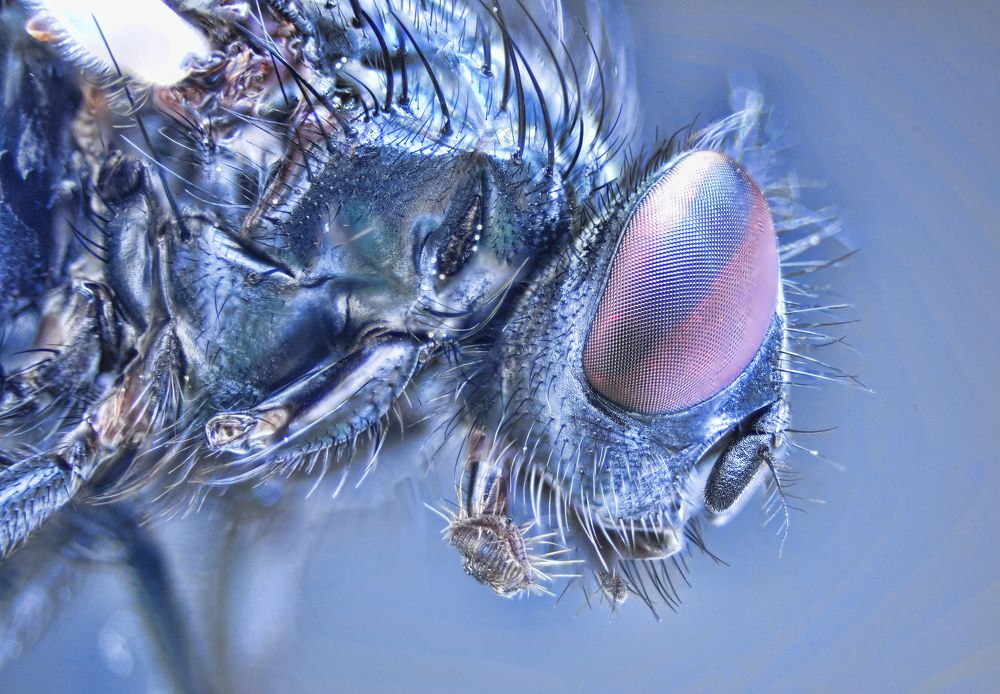 Photograph by Piotr Golebiowski