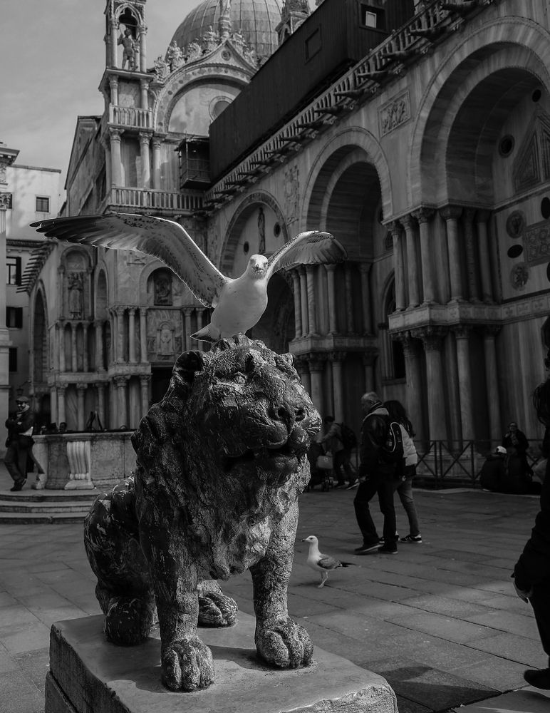 Photograph by АЛЕНА ГУЛЕНКО