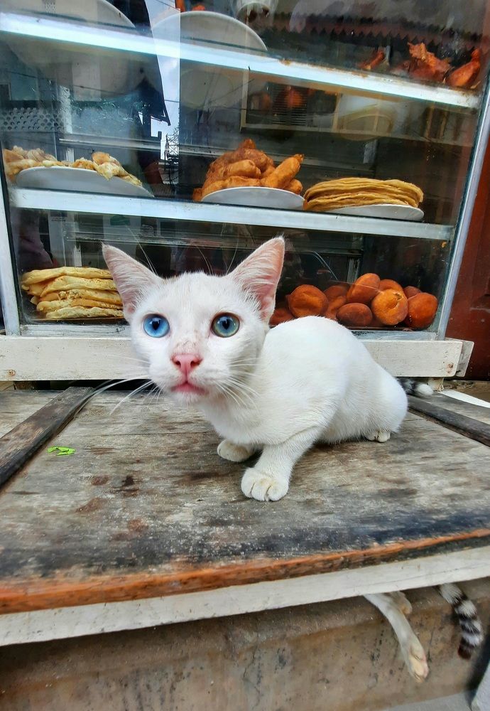 Photograph by Anna Pavlova