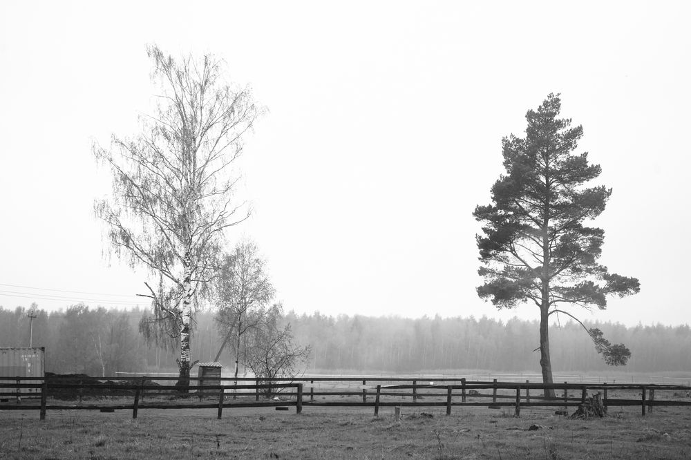 Photograph by Alexandr Tataev