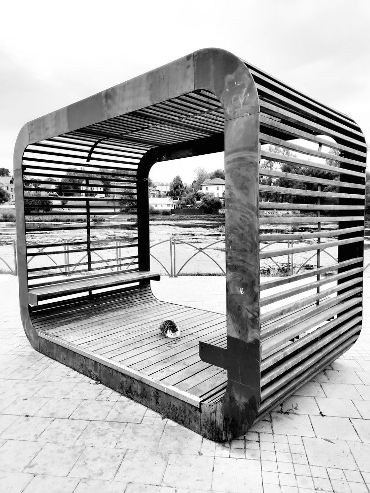 Photograph by Anna Pavlova