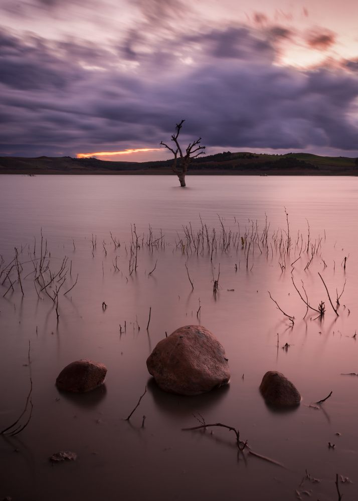 Photograph by BENABID CHERIF