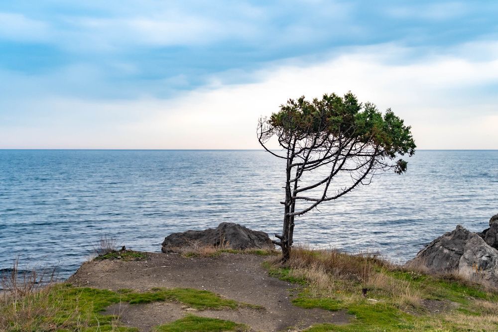 Photograph by Alexander Popov