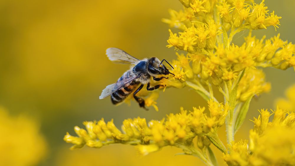 Photograph by Константин Власов
