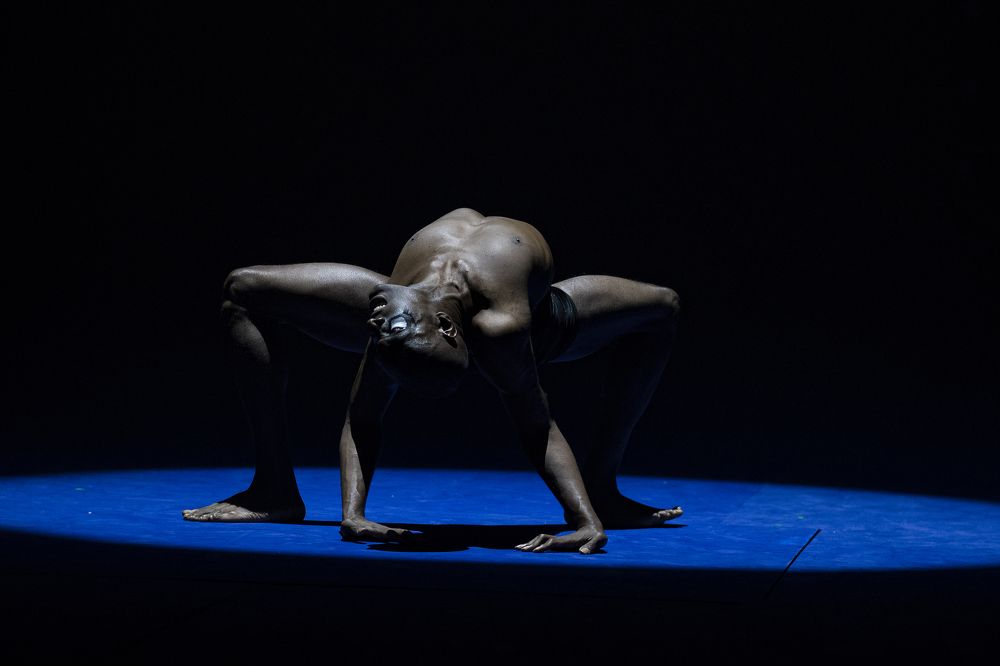 Photograph by Philip Butkin