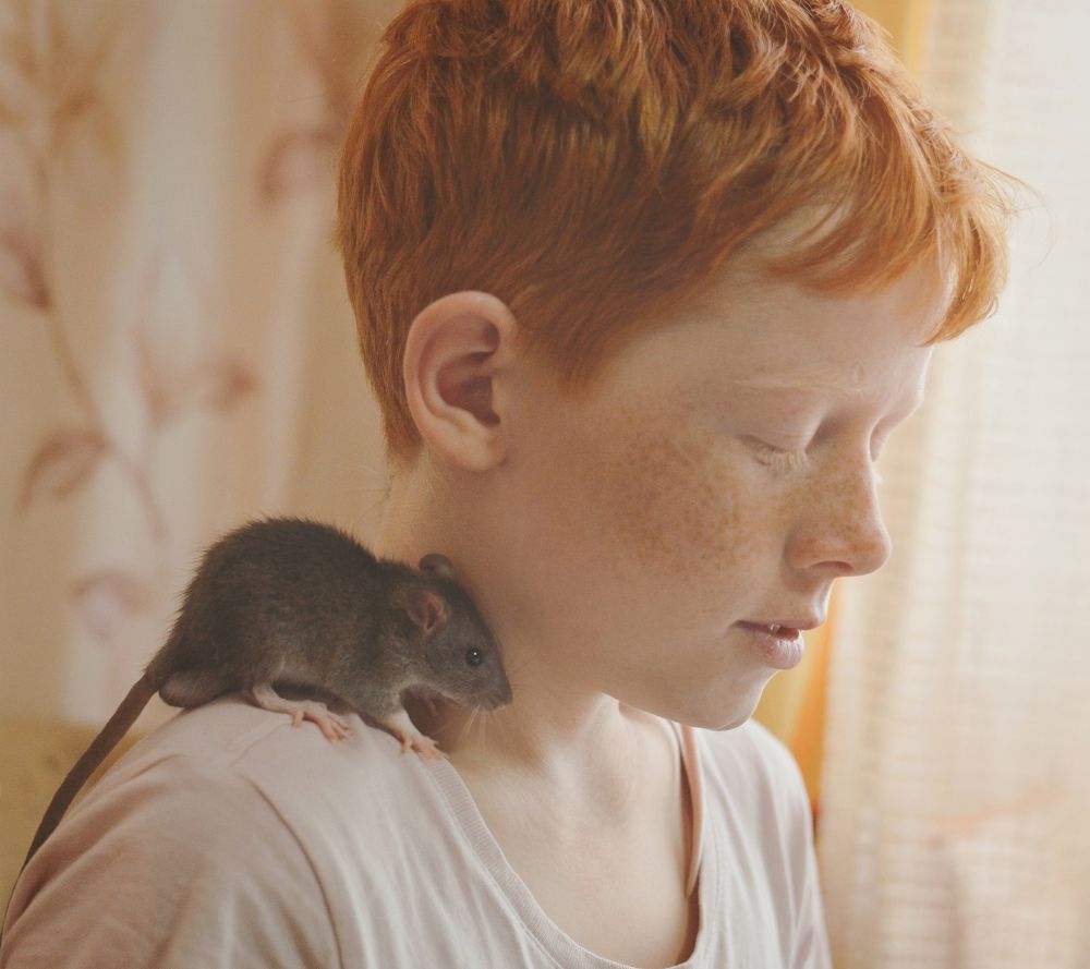 Photograph by Екатерина Шлехт