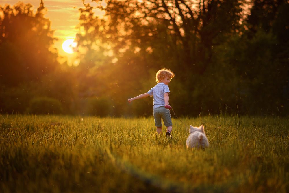 Photograph by Женя Джонстон