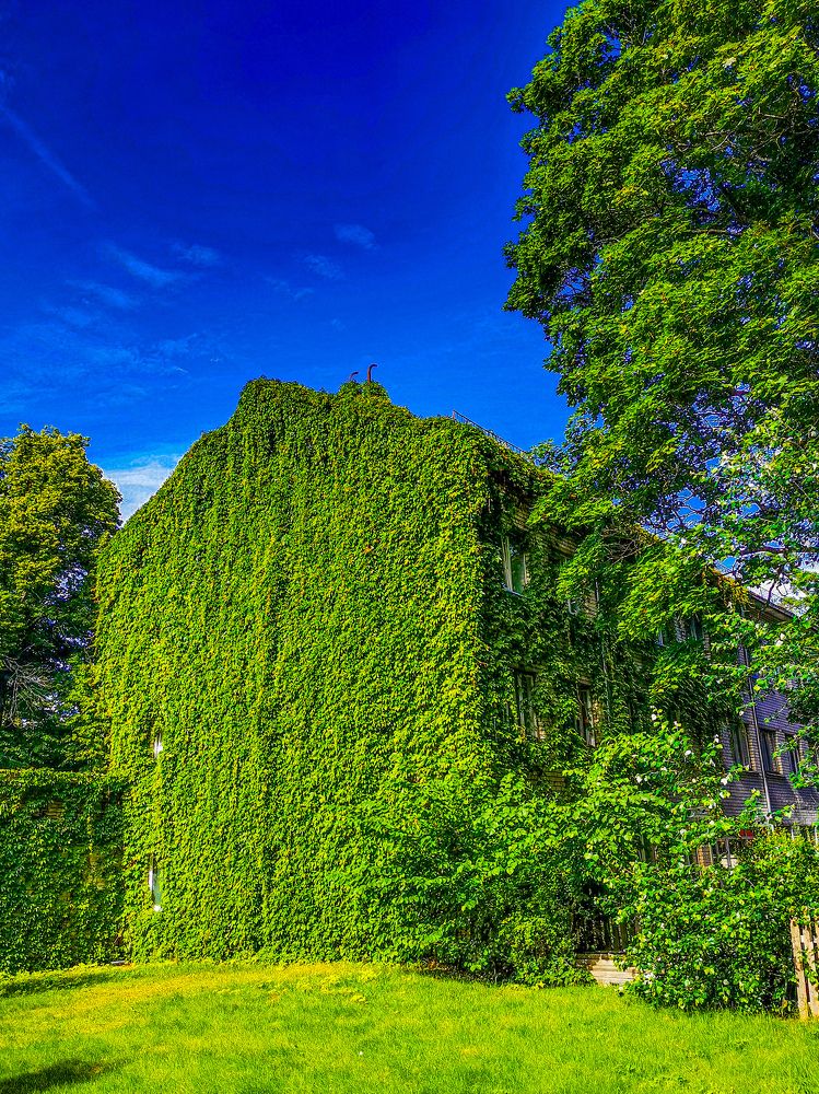 Фотография автора Дмитрий Лебедь