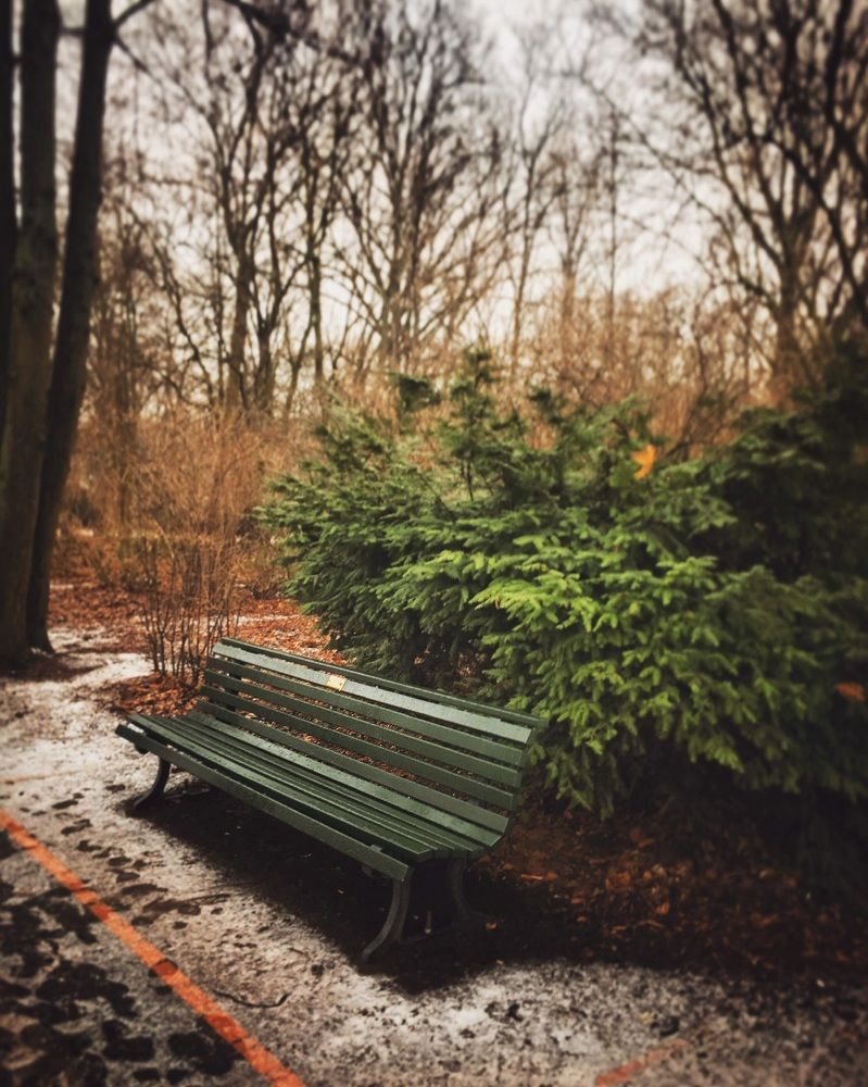 Photograph by Yelena Yakubov