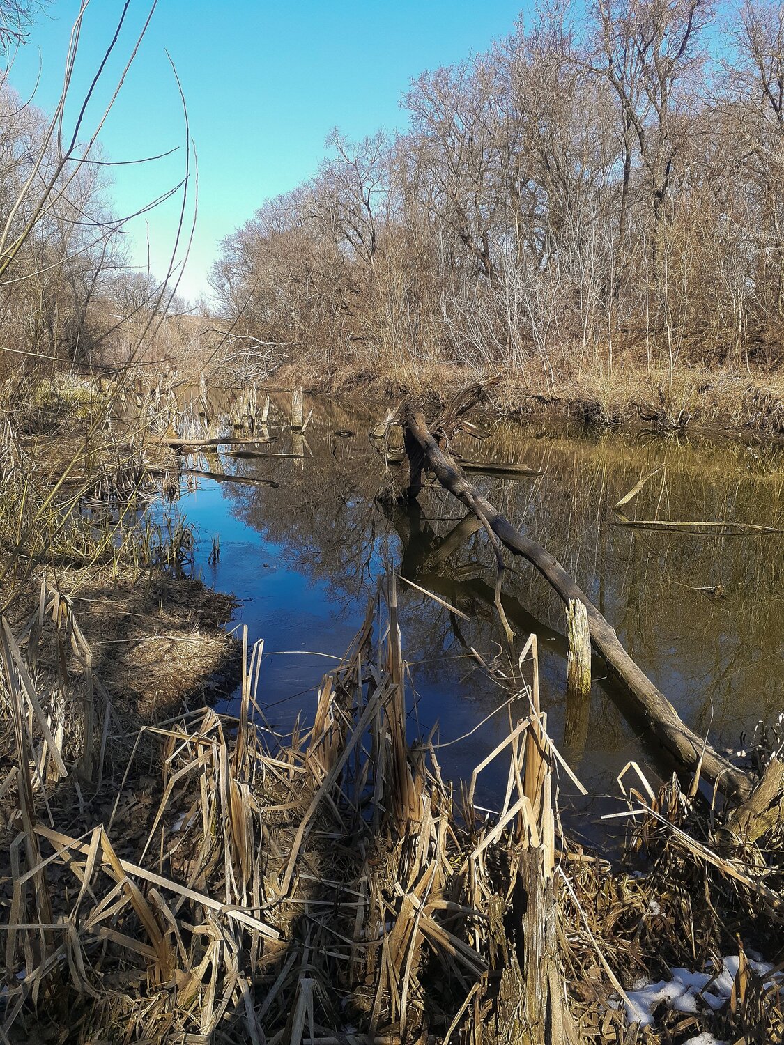 Photo #5706946